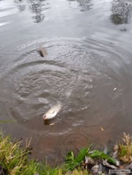 kliknutím fotku zvětšíte