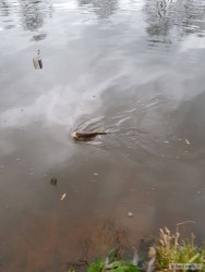 kliknutím fotku zvětšíte