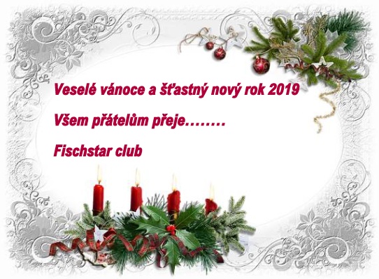 kliknutím fotku zvětšíte