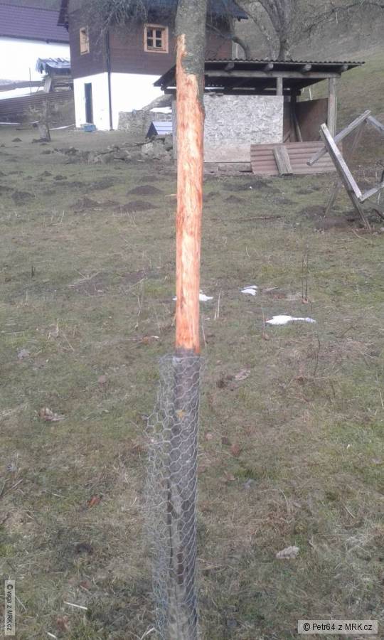 kliknutím fotku zvětšíte