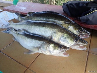 kliknutím fotku zvětšíte