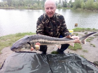kliknutím fotku zvětšíte