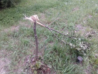kliknutím fotku zvětšíte