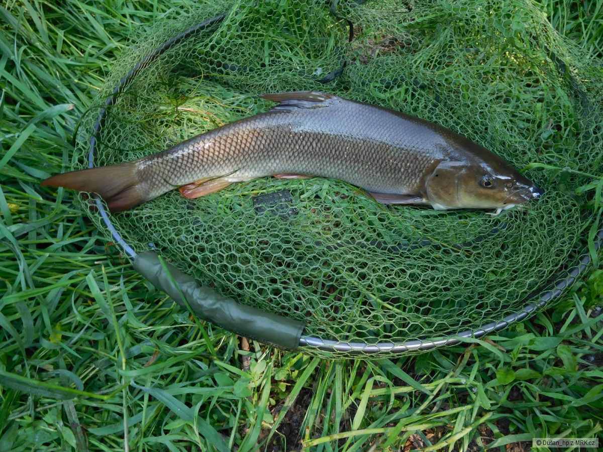 kliknutím fotku zvětšíte