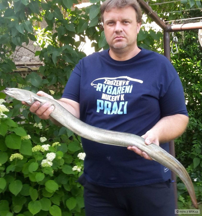 kliknutím fotku zvětšíte