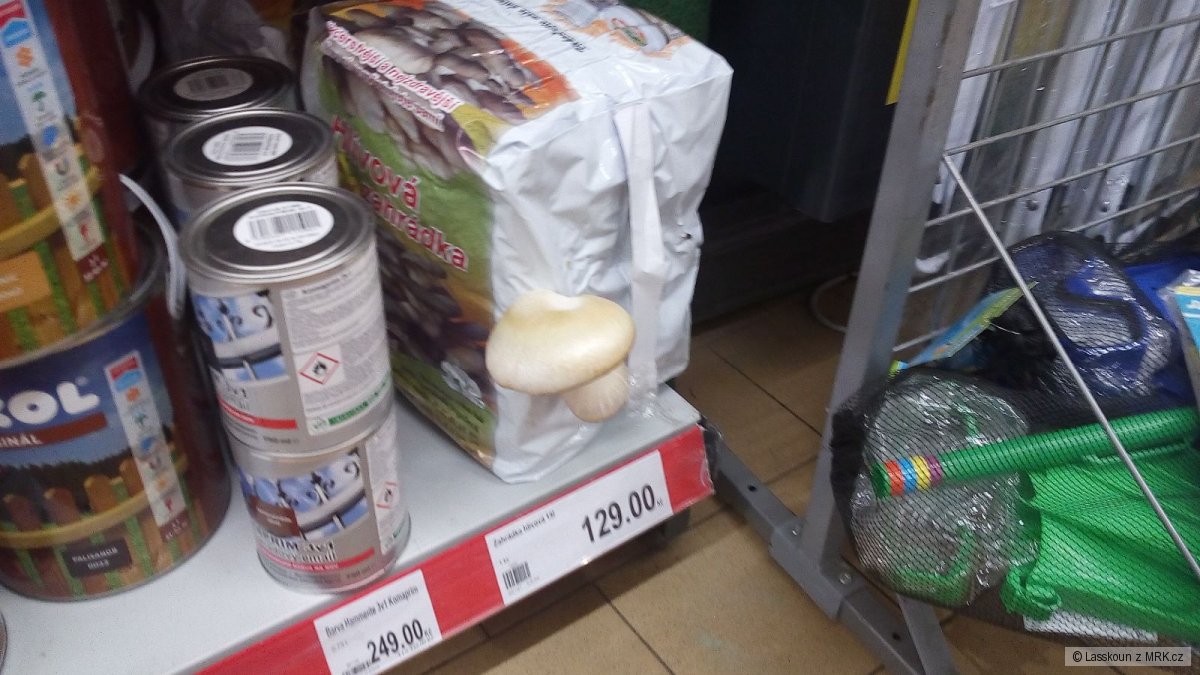 kliknutím fotku zvětšíte