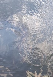 kliknutím fotku zvětšíte