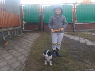 kliknutím fotku zvětšíte