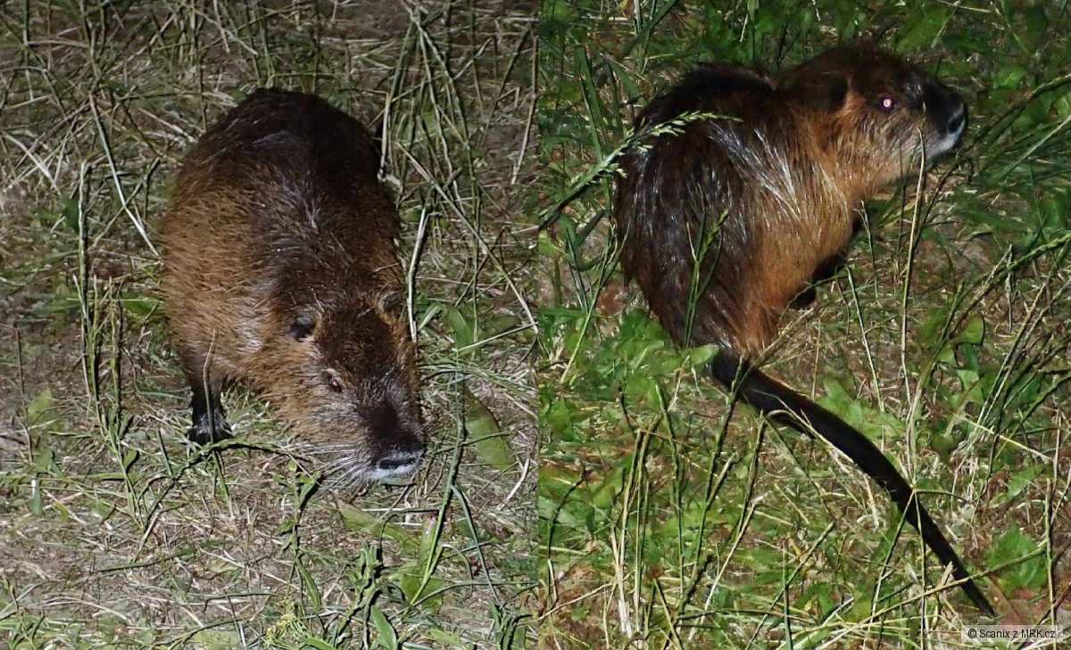 kliknutím fotku zvětšíte