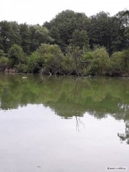 kliknutím fotku zvětšíte