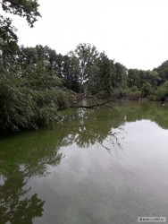 kliknutím fotku zvětšíte