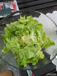 kliknutím fotku zvětšíte