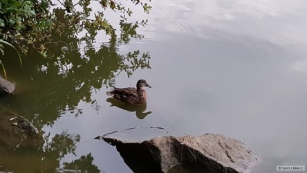 kliknutím fotku zvětšíte