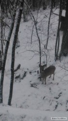 kliknutím fotku zvětšíte