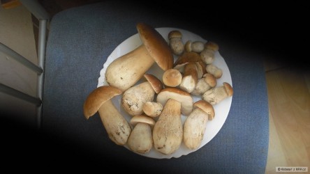 kliknutím fotku zvětšíte
