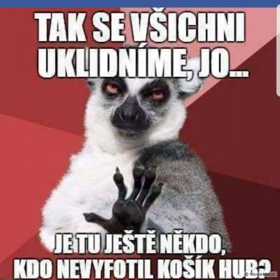 kliknutím fotku zvětšíte
