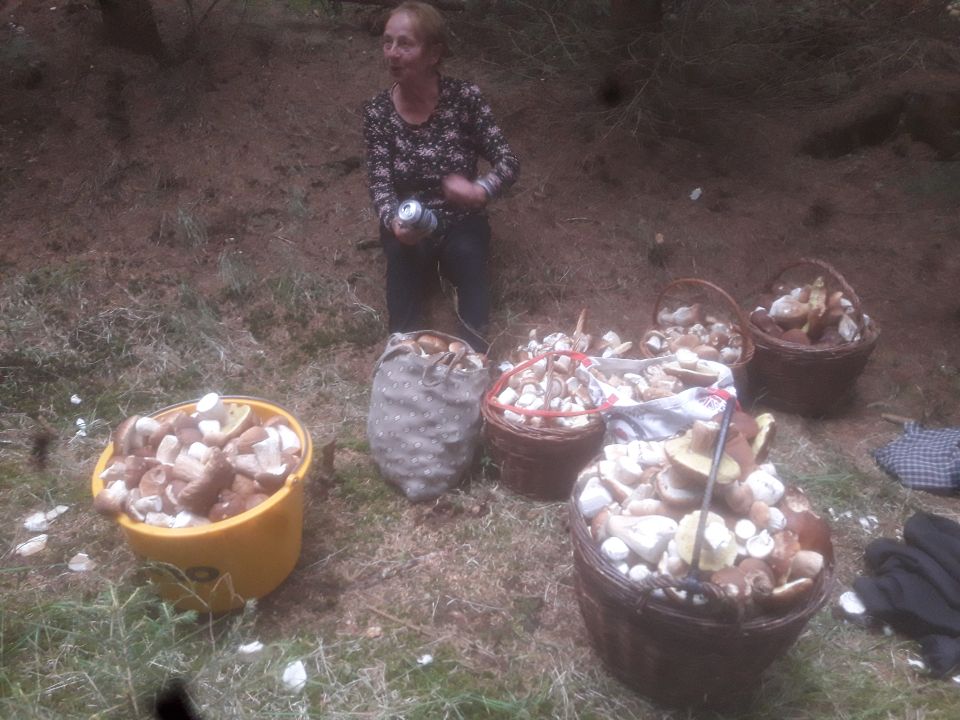 kliknutím fotku zvětšíte