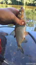 kliknutím fotku zvětšíte