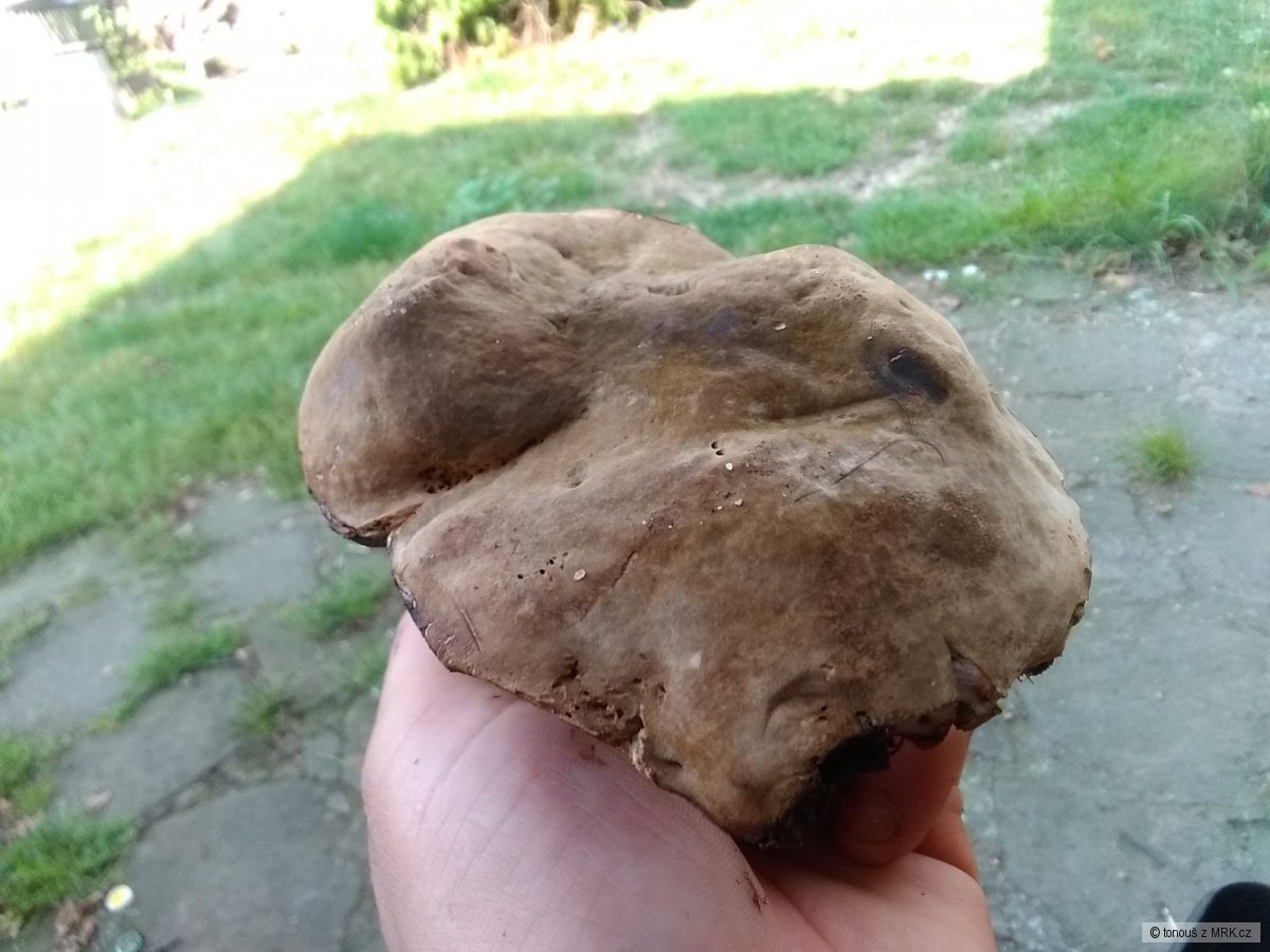 kliknutím fotku zvětšíte