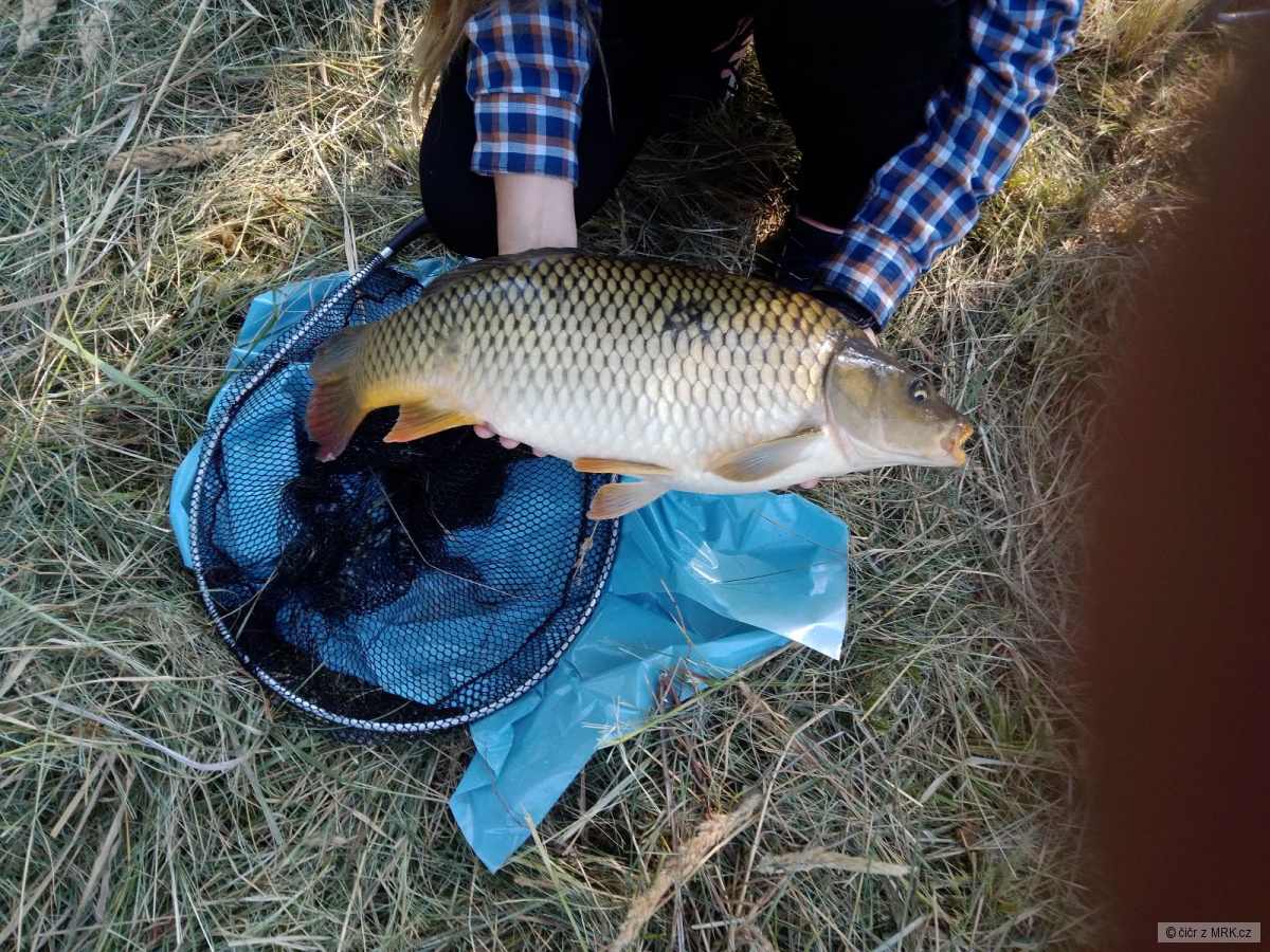 kliknutím fotku zvětšíte