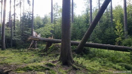 kliknutím fotku zvětšíte