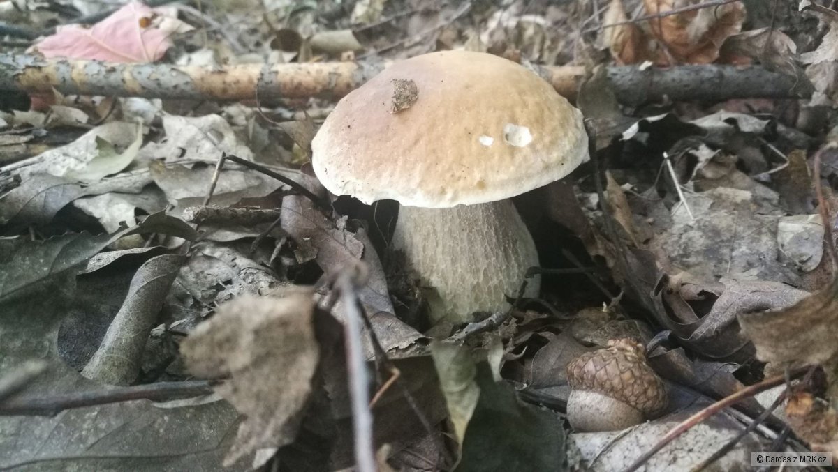 kliknutím fotku zvětšíte