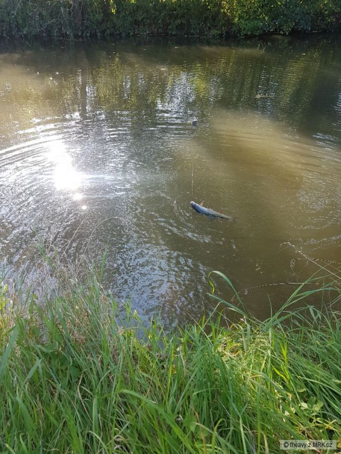 kliknutím fotku zvětšíte
