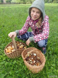 kliknutím fotku zvětšíte