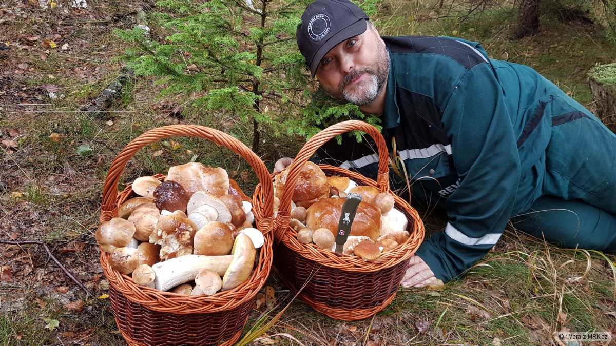 kliknutím fotku zvětšíte