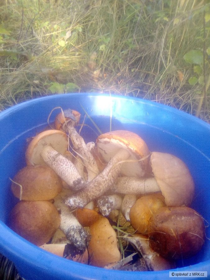 kliknutím fotku zvětšíte