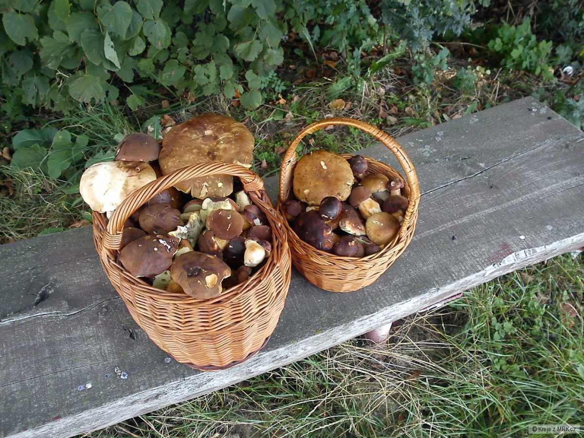 kliknutím fotku zvětšíte