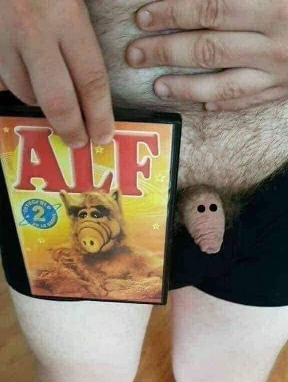 kliknutím fotku zvětšíte
