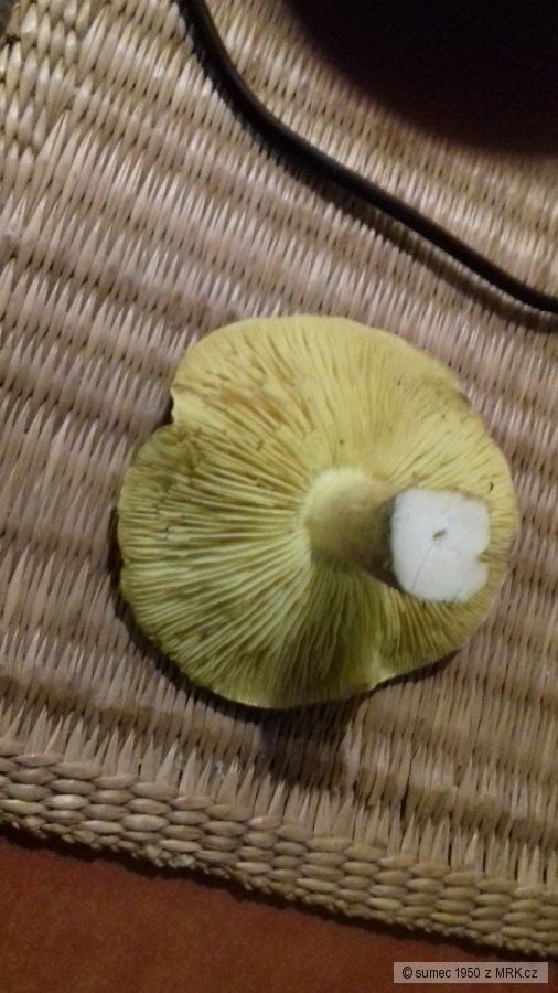 kliknutím fotku zvětšíte