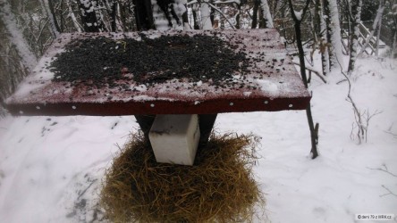 kliknutím fotku zvětšíte