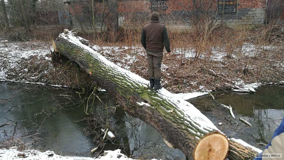 kliknutím fotku zvětšíte