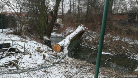 kliknutím fotku zvětšíte