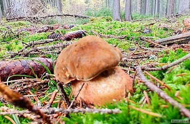 kliknutím fotku zvětšíte