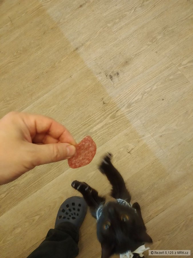 kliknutím fotku zvětšíte