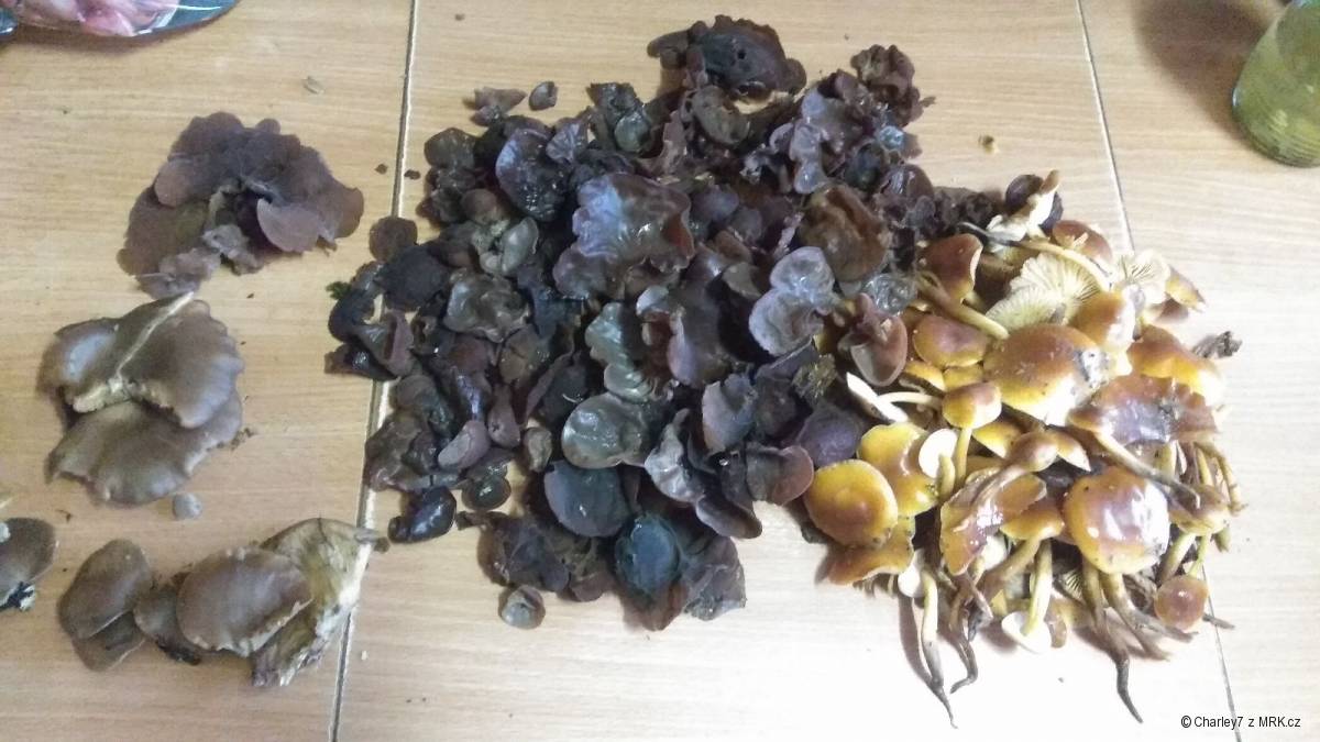 kliknutím fotku zvětšíte