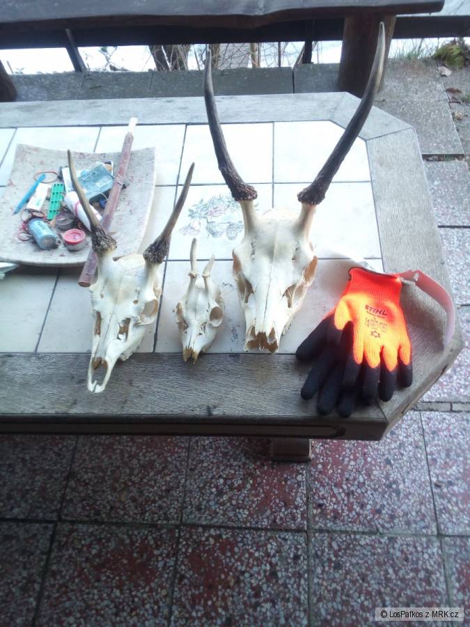 kliknutím fotku zvětšíte