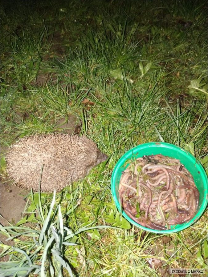 kliknutím fotku zvětšíte
