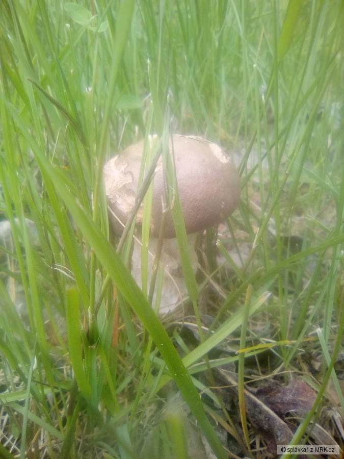 kliknutím fotku zvětšíte