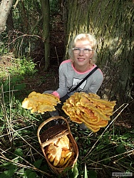 kliknutím fotku zvětšíte