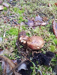 kliknutím fotku zvětšíte