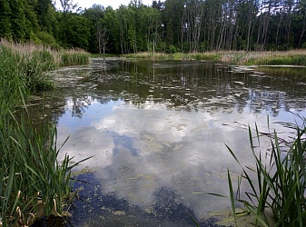 kliknutím fotku zvětšíte