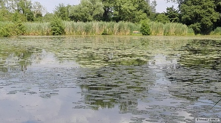 kliknutím fotku zvětšíte
