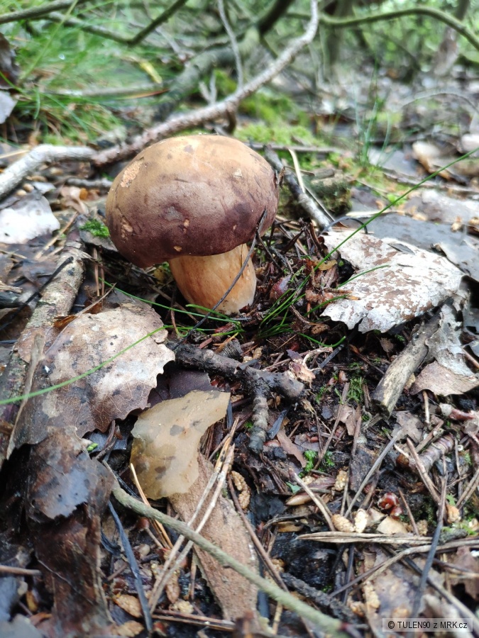 kliknutím fotku zvětšíte