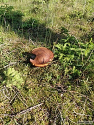 kliknutím fotku zvětšíte