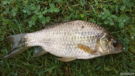 kliknutím fotku zvětšíte