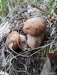 kliknutím fotku zvětšíte